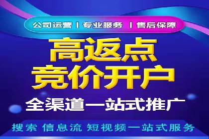 某企业SEM广告投放的转化率提升秘诀